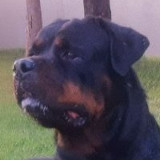 Athos